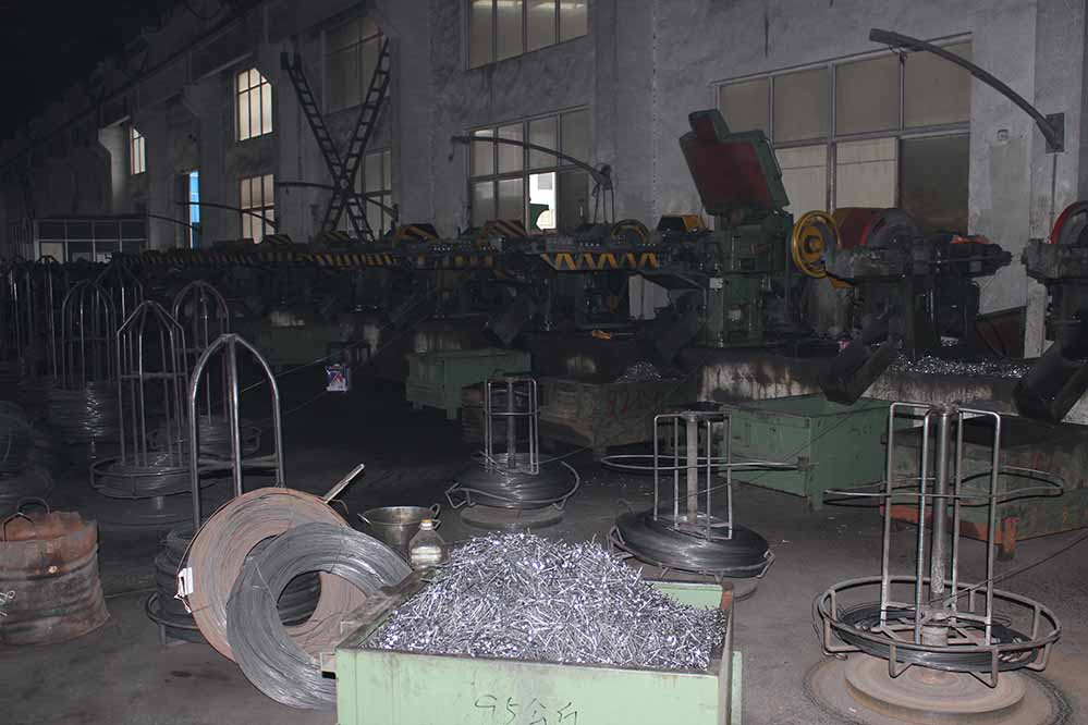 plant 07