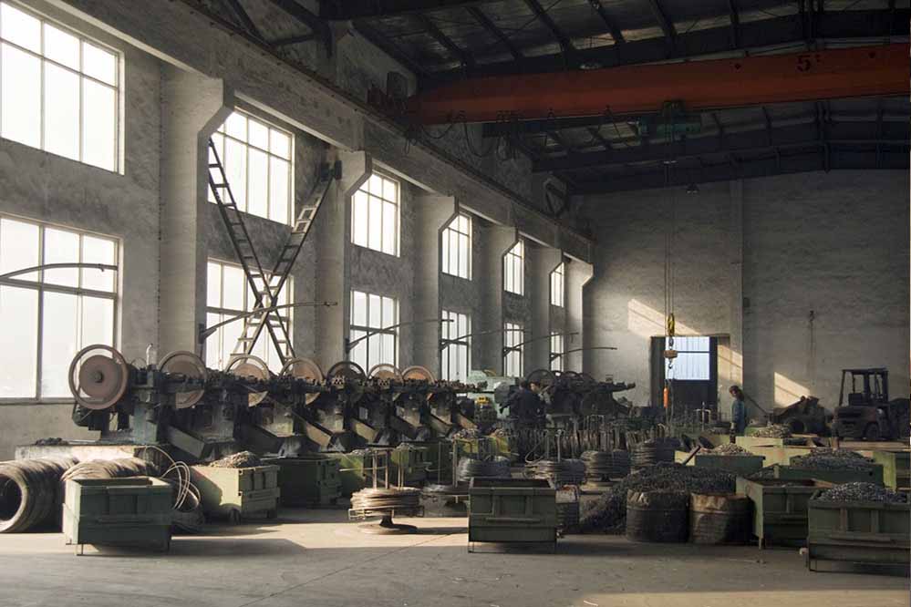 plant 02